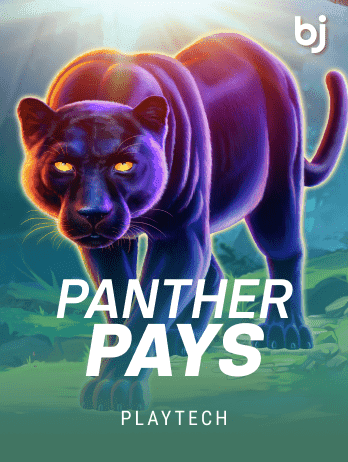 Panther Payspng game cover